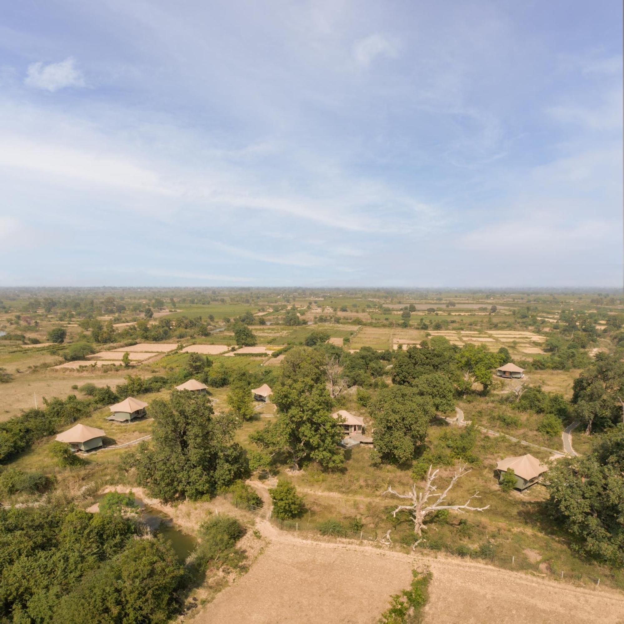 Hotel Trees N Tigers, Tadoba Kolāra Exterior foto